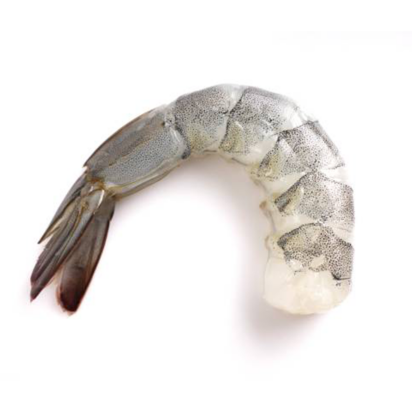 Fresh Water Shrimp EZ Peel XXL (6-8)(907g)