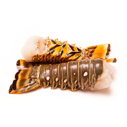 XXL Lobster Tail (1360g)